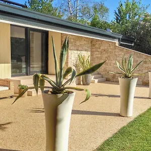 Agave Lazise